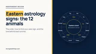 Eastern astrology signs: zodiac wheel illustration on a navy panel
