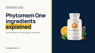 Phytomem One ingredients explained: headline beside the Phytomem One bottle on a navy panel with a yellow edge