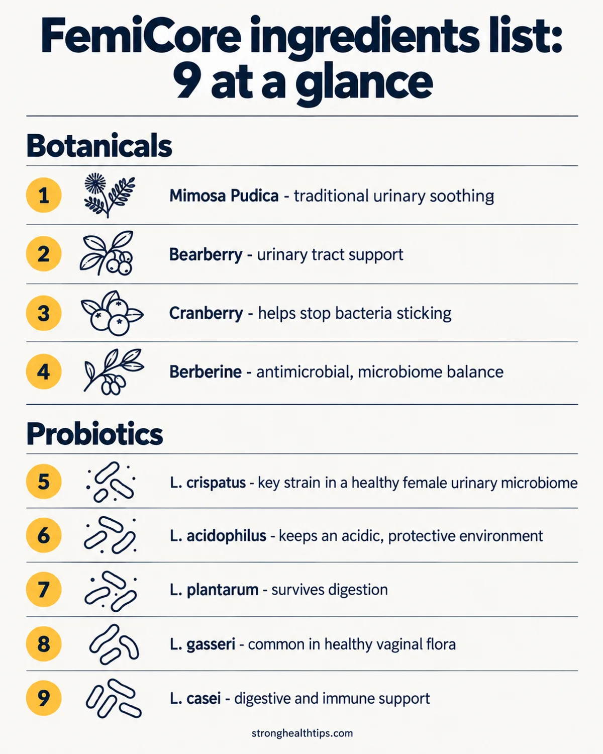 FemiCore ingredients list infographic: 4 botanicals and 5 Lactobacillus probiotics with the role of each