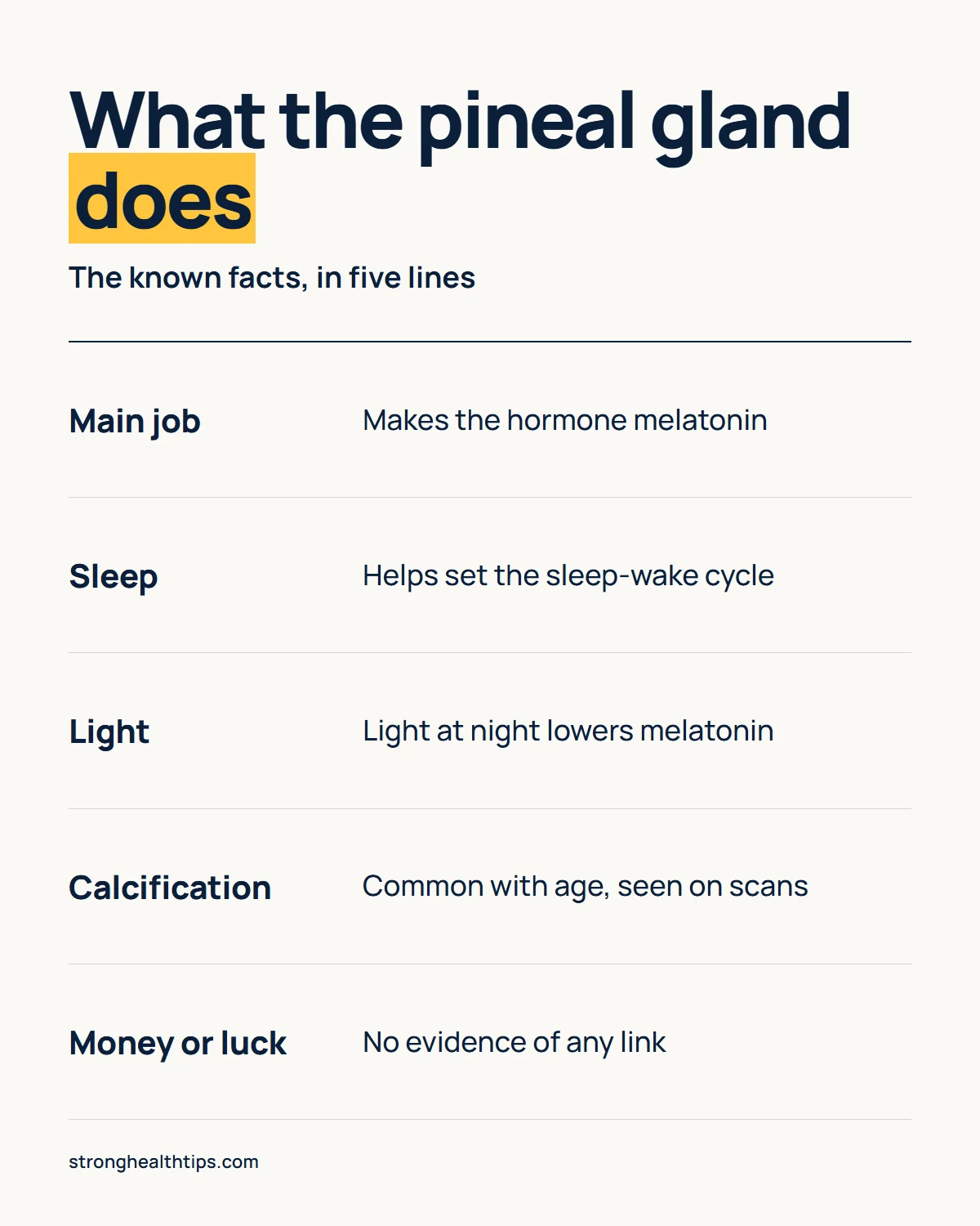 The Last Wish pineal gland infographic: makes melatonin, helps set the sleep-wake cycle, responds to light at night